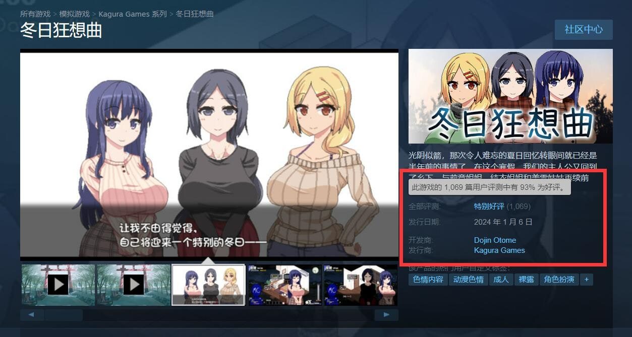 冬日狂想曲 攻略要点 实机截图 2